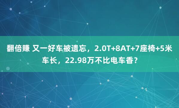翻倍赚 又一好车被遗忘，2.0T+8AT+7座椅+5米车长，22.98万不比电车香？
